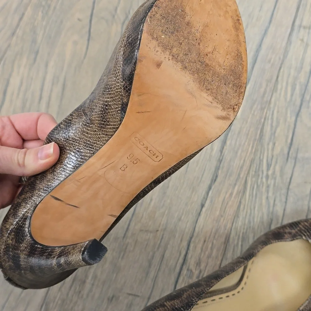 Coach Daisee Printed Lizard‎ Heels, 9.5​